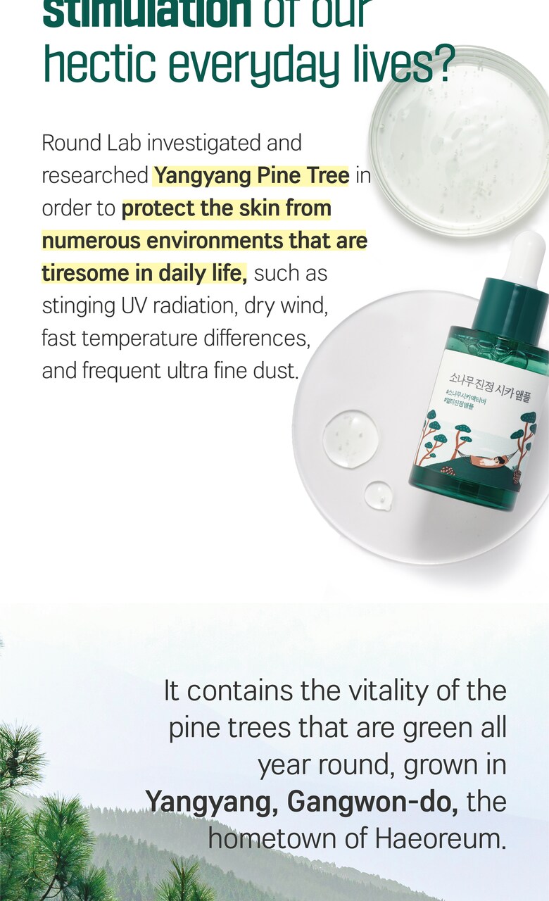 ROUND LAB Pine Calming Cica Ampoule 30ml Yangyang pine tree research