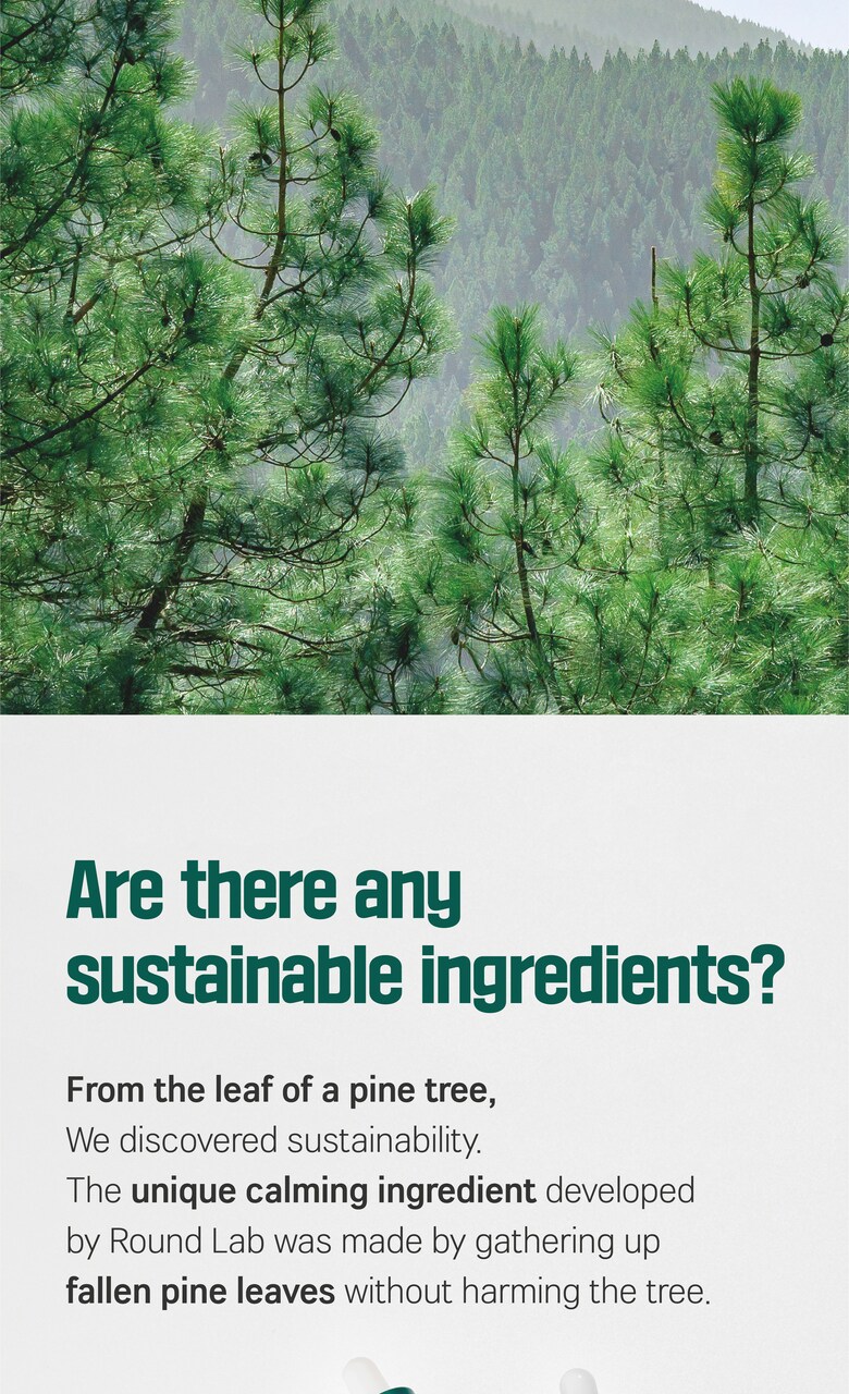 ROUND LAB Pine Calming Cica Ampoule 30ml sustainable pine leaf ingredient
