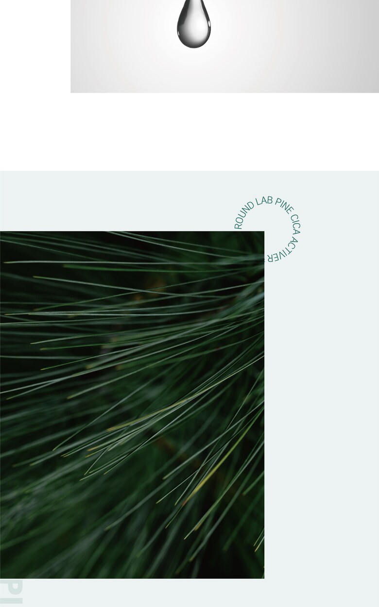 ROUND LAB Pine Cica Activer pine needle ingredient